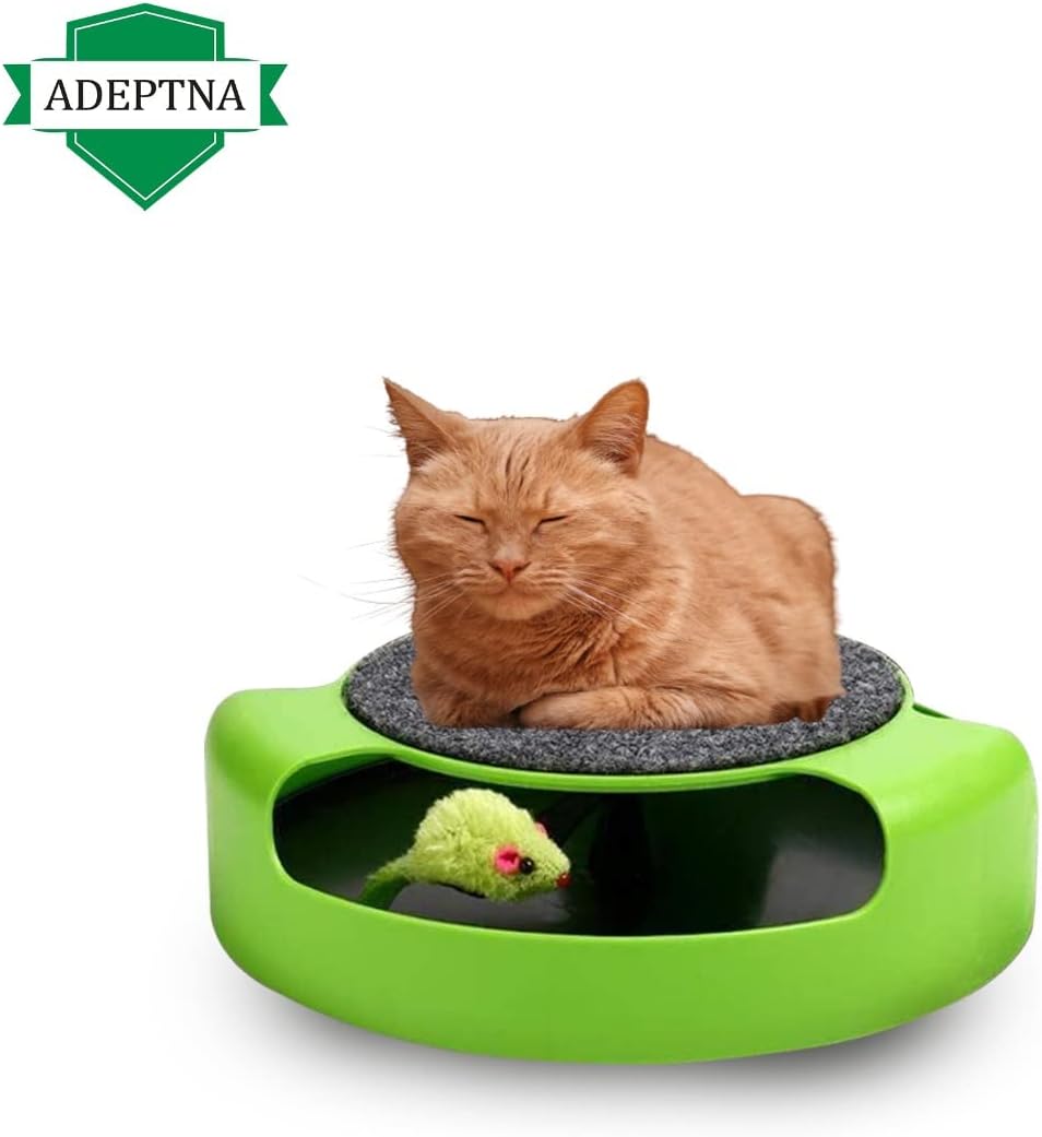 ADEPTNA Cat Kitten Catch the Mouse Motion Cat Toy Moving Play Interactive Grooming Fun and Exercise Scratch Mat