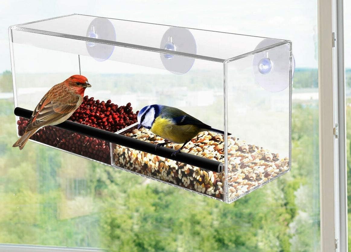 ADEPTNA Extra Large Outside Acrylic Balcony Window Bird Feeder with Free Bird Spotting - Super 3 Strong Suction Cups