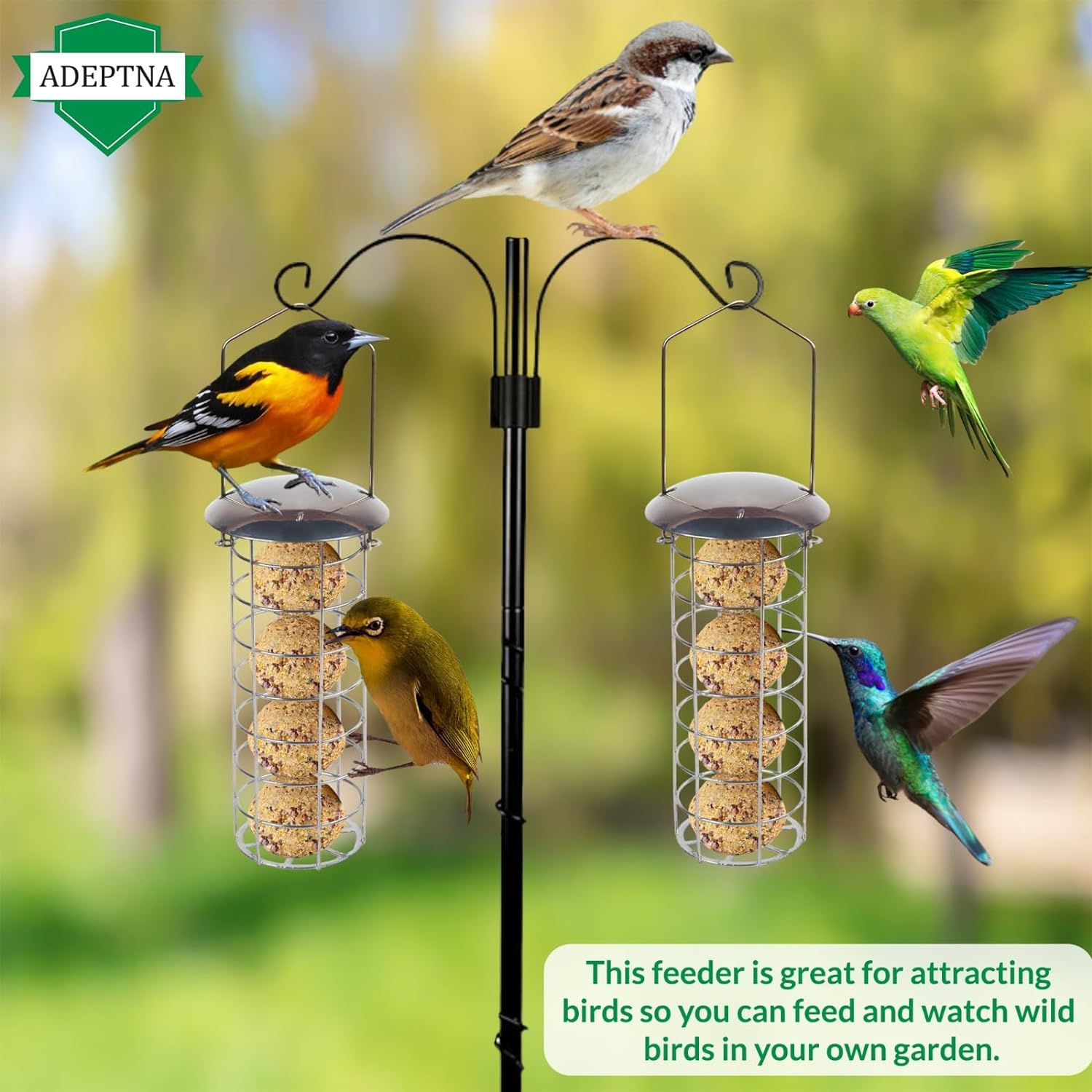 ADEPTNA Deluxe Set of 2 Garden Hanging Wild Bird Feeder Container Outdoor - Water Resistant Great for Attracting Birds (FAT BALL FEEDER)
