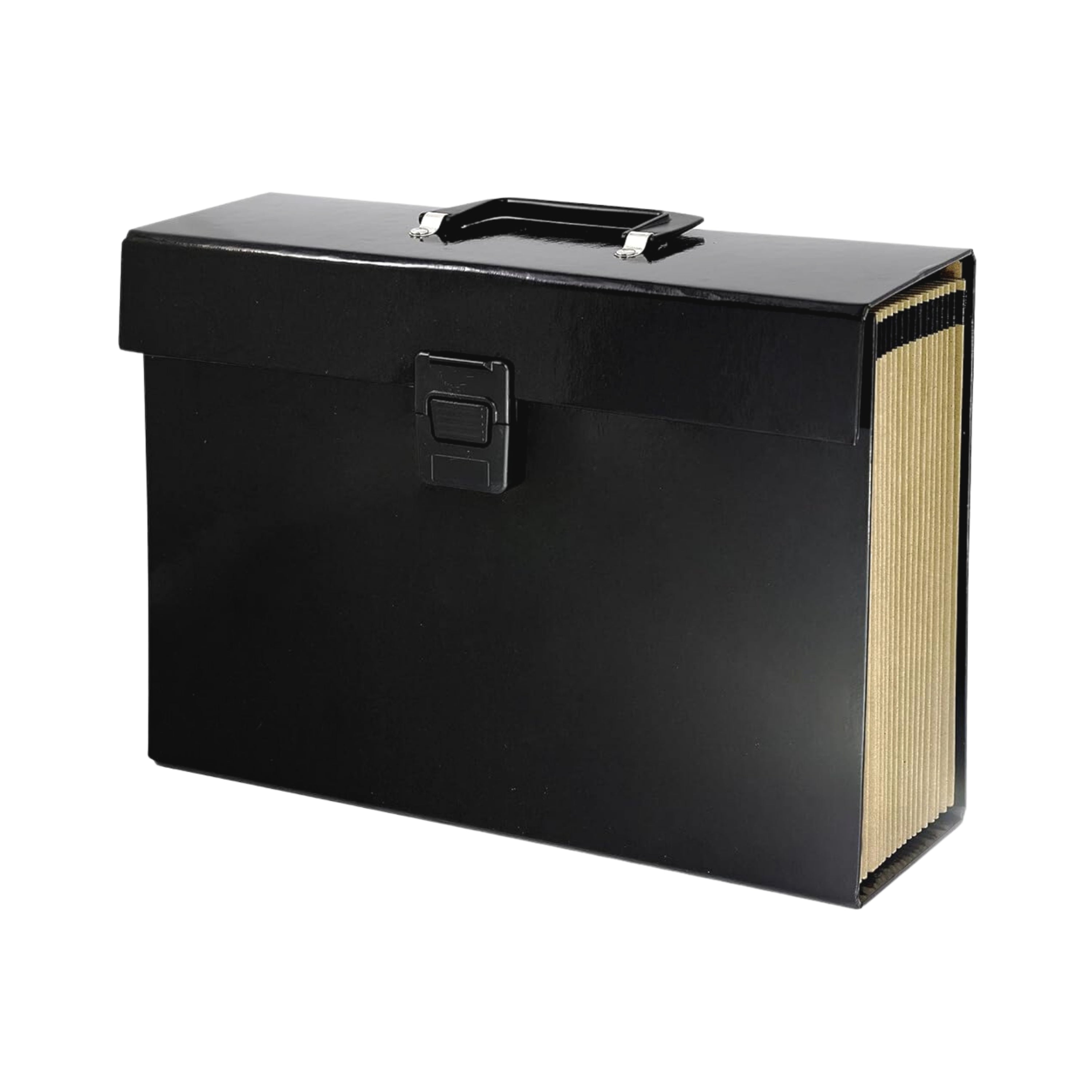 Expanding File Organiser 19 Pocket A4 Paper Folder Case