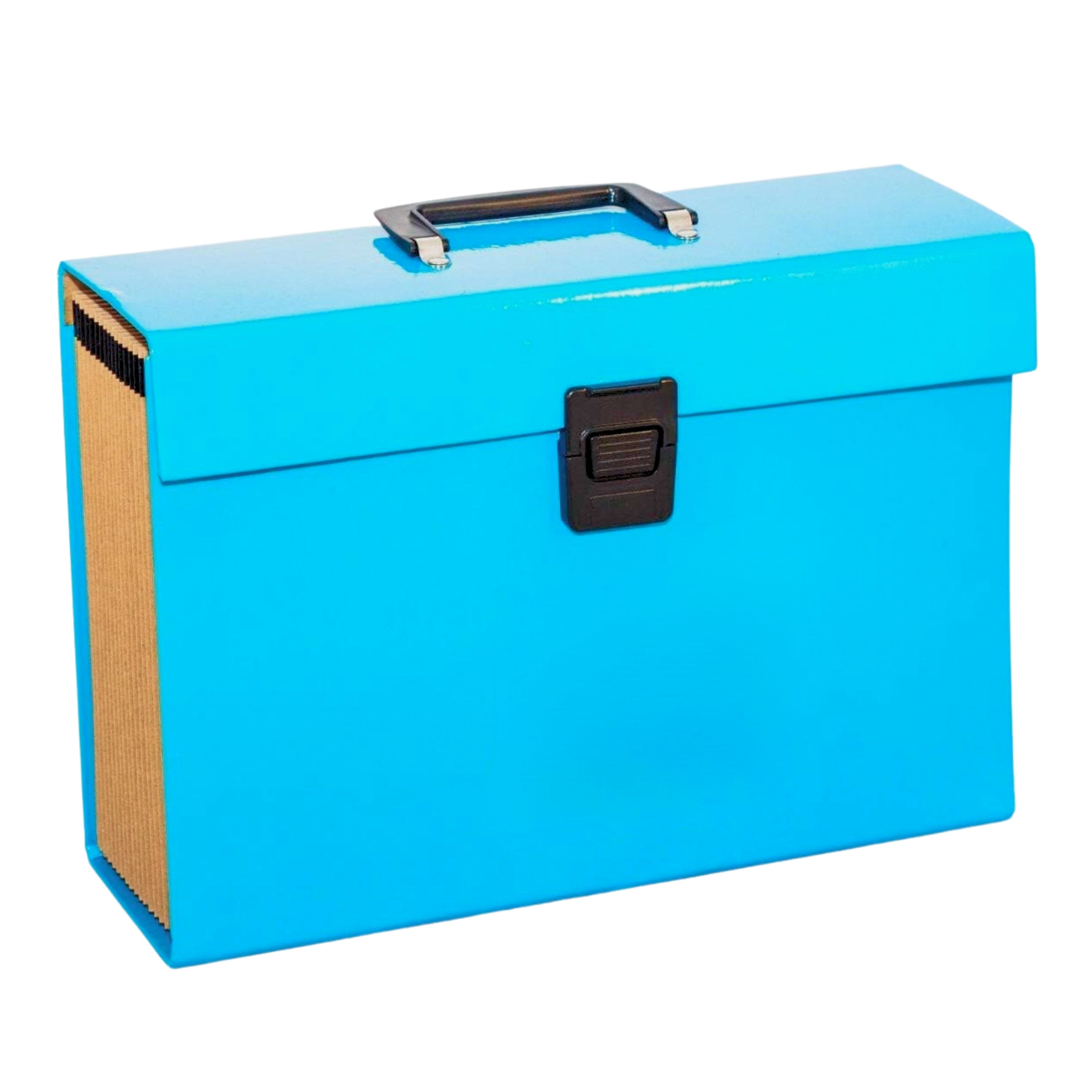 Expanding File Organiser 19 Pocket A4 Paper Folder Case