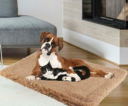 Luxury Throw for Pet Dog Cat Puppy Soft Fluffy Microfibre Fleece Blanket super soft Cosy Warm Winter (Large 75 x 110cm)