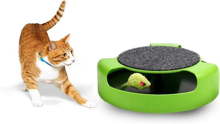 Interactive Cat Toy: Motion, Grooming, and Scratch Mat for Fun and Exercise