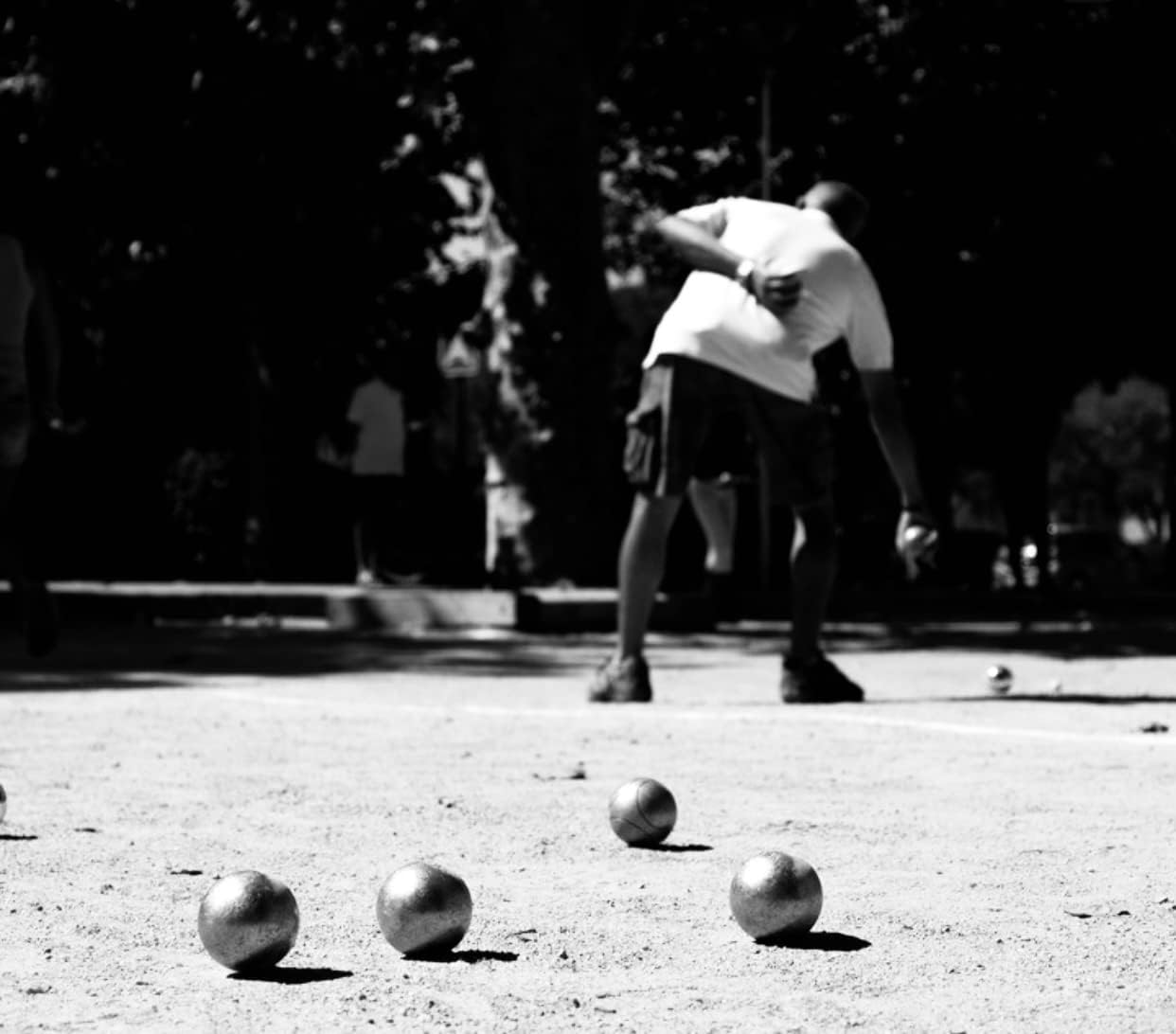 Premium Pack of 8 Chrome Plated French Boules Set with Carry Case -