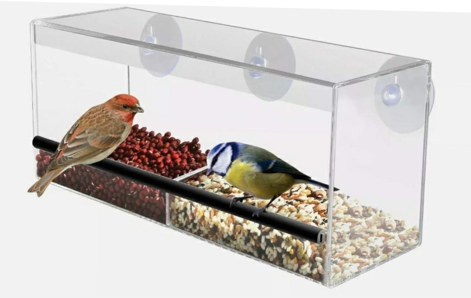 Extra Large Outside Acrylic Balcony Window Bird Feeder with Free Bird Spotting -
