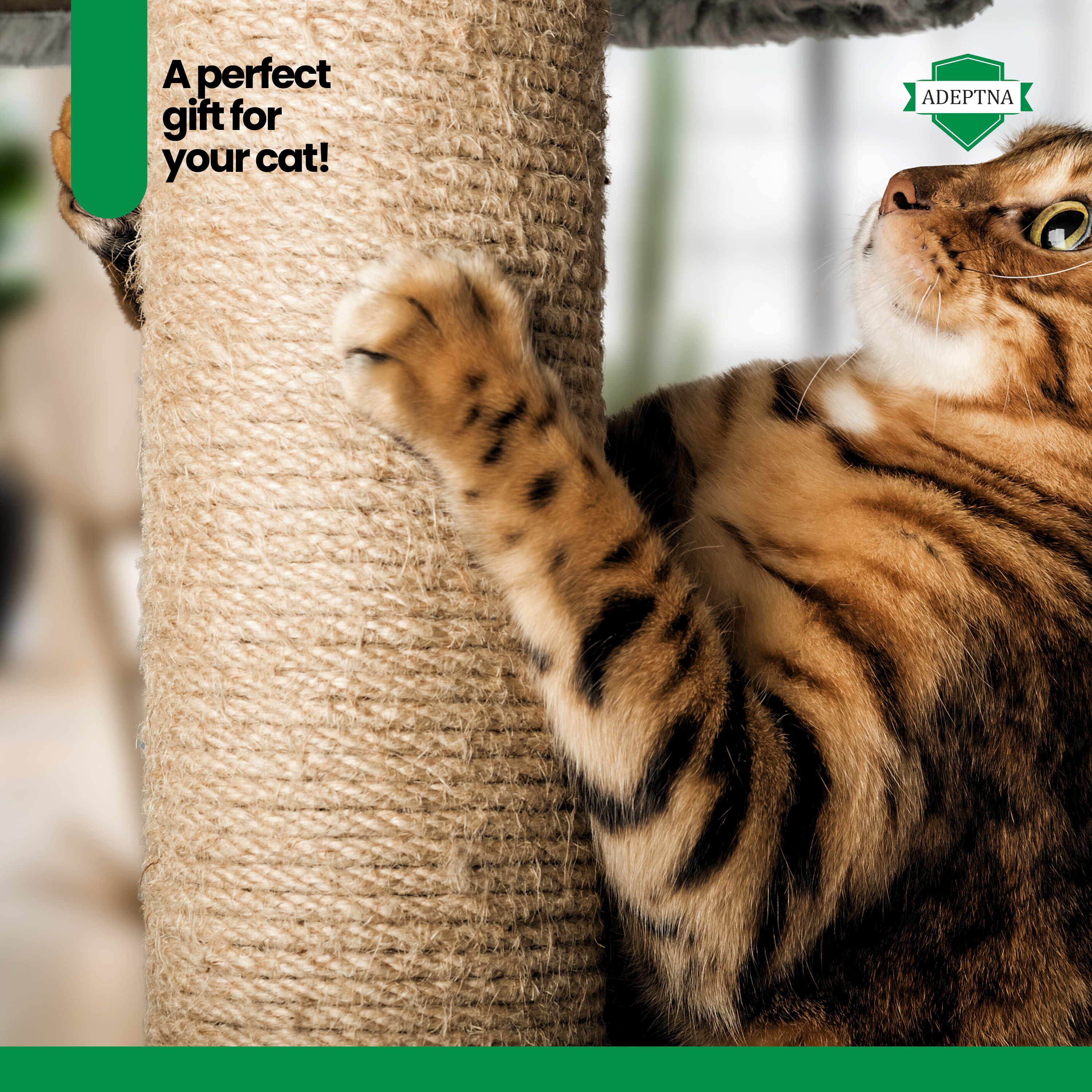 Cat Tall Scratching Post 78cm Strong Natural Sisal Pole