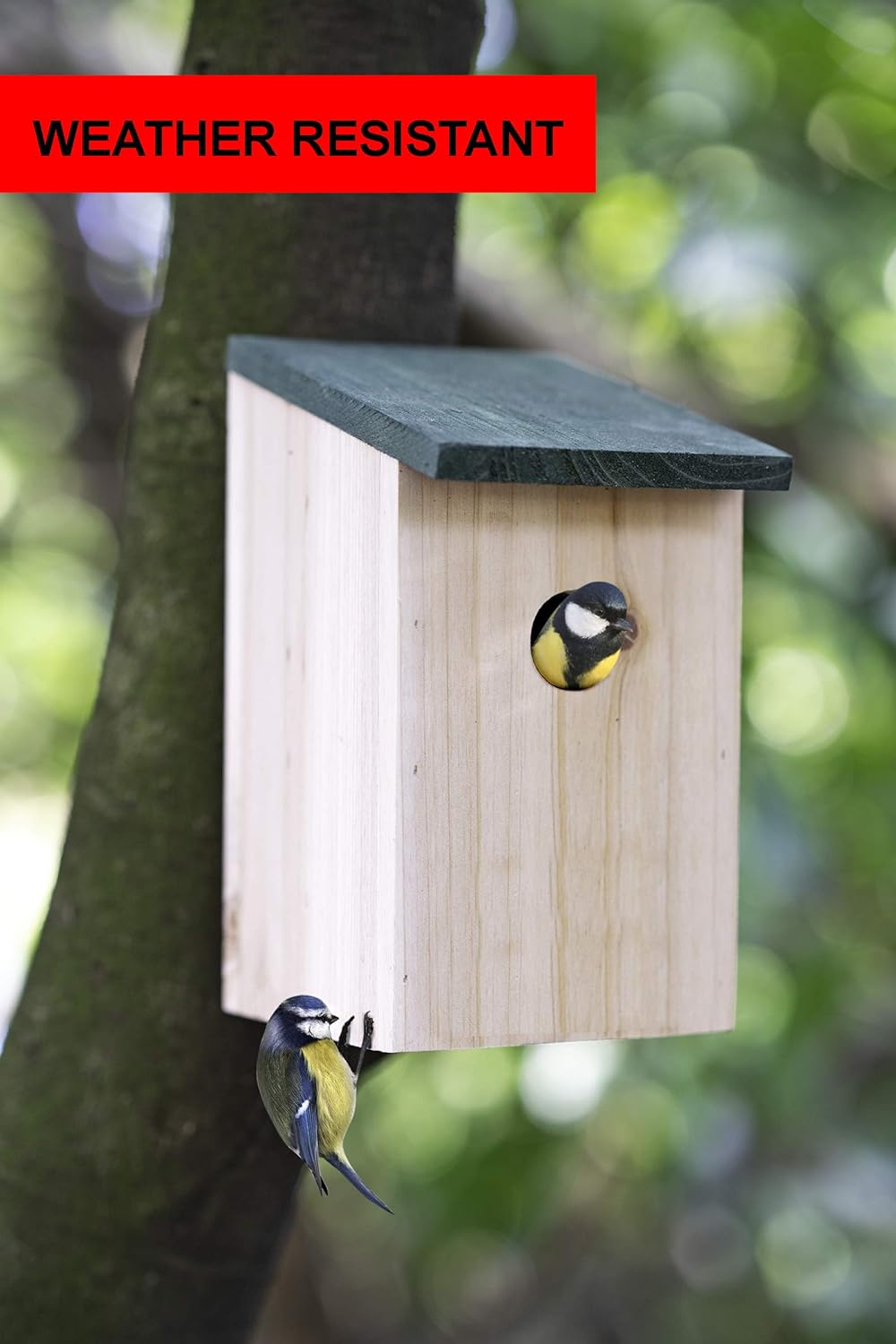 ADEPTNA Wooden Wild Bird Nest Box Bird House for Small Birds Sparrows Blue Tit Great Tits Robin – Ready Assembled