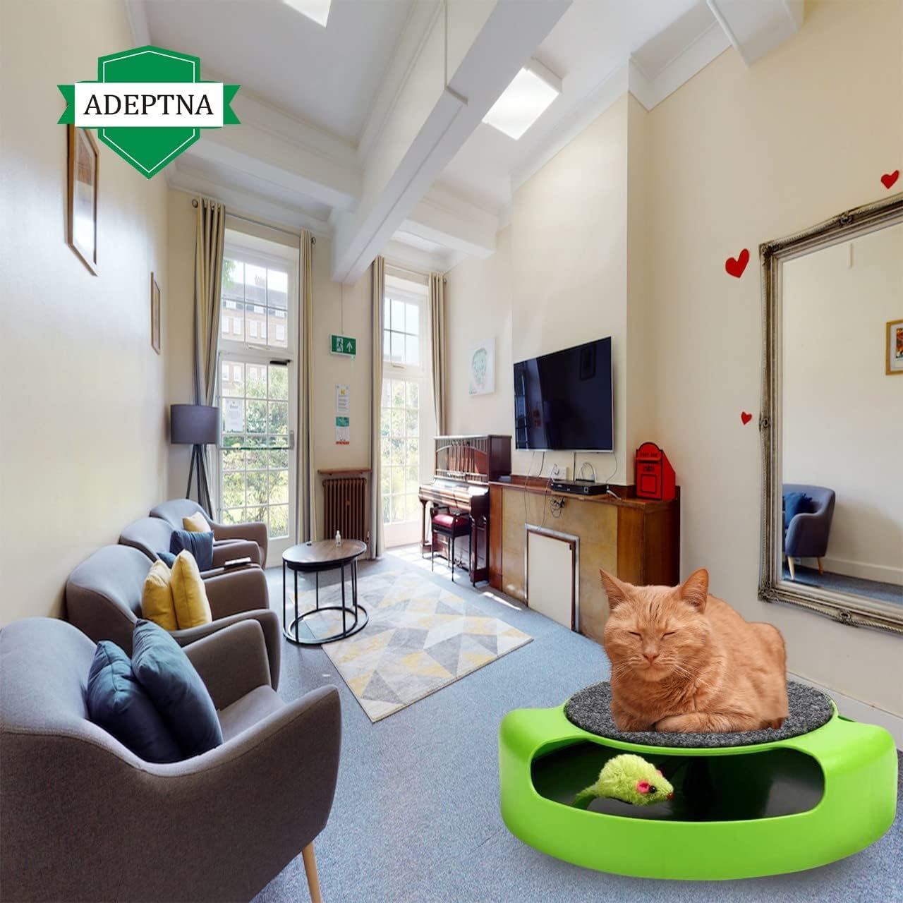 Interactive Cat Toy: Motion, Grooming, and Scratch Mat for Fun and Exercise