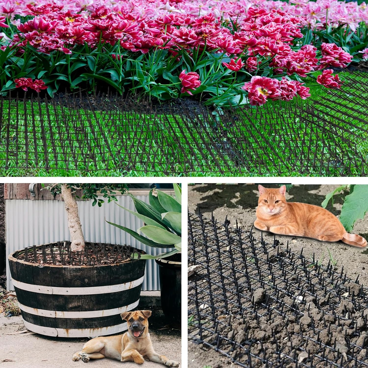 ADEPTNA Prickle Strip Dig Stopper with u pegs Animals from Entering the Garden and Destroying Plants Cat Repellent Mat Flat Prickle Strip